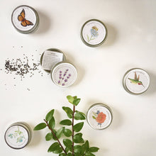 Load image into Gallery viewer, Potting Shed Creations, Ltd. - Garden Sprinkles | Lavender