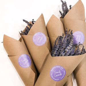 Seattle Seed Co. - BULK Dried French Lavender Bouquets Mega Pack 30 bunches