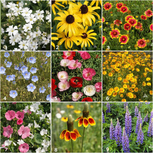Potting Shed Creations, Ltd. - Garden Sprinkles | Wildflowers | Best Seller