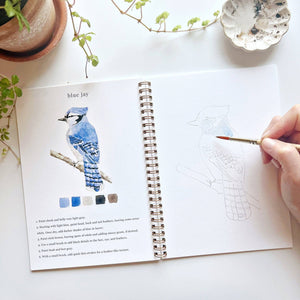 Watercolor Workbook: Birds