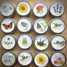 Load image into Gallery viewer, Potting Shed Creations, Ltd. - Garden Sprinkles | Lavender
