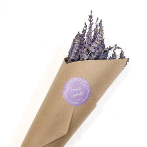 Seattle Seed Co. - BULK Dried French Lavender Bouquets Mega Pack 30 bunches