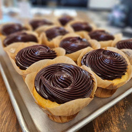 Boston Creme Cupcakes