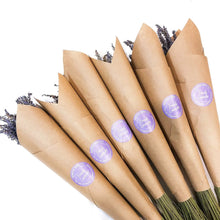 Load image into Gallery viewer, Seattle Seed Co. - BULK Dried French Lavender Bouquets Mega Pack 30 bunches